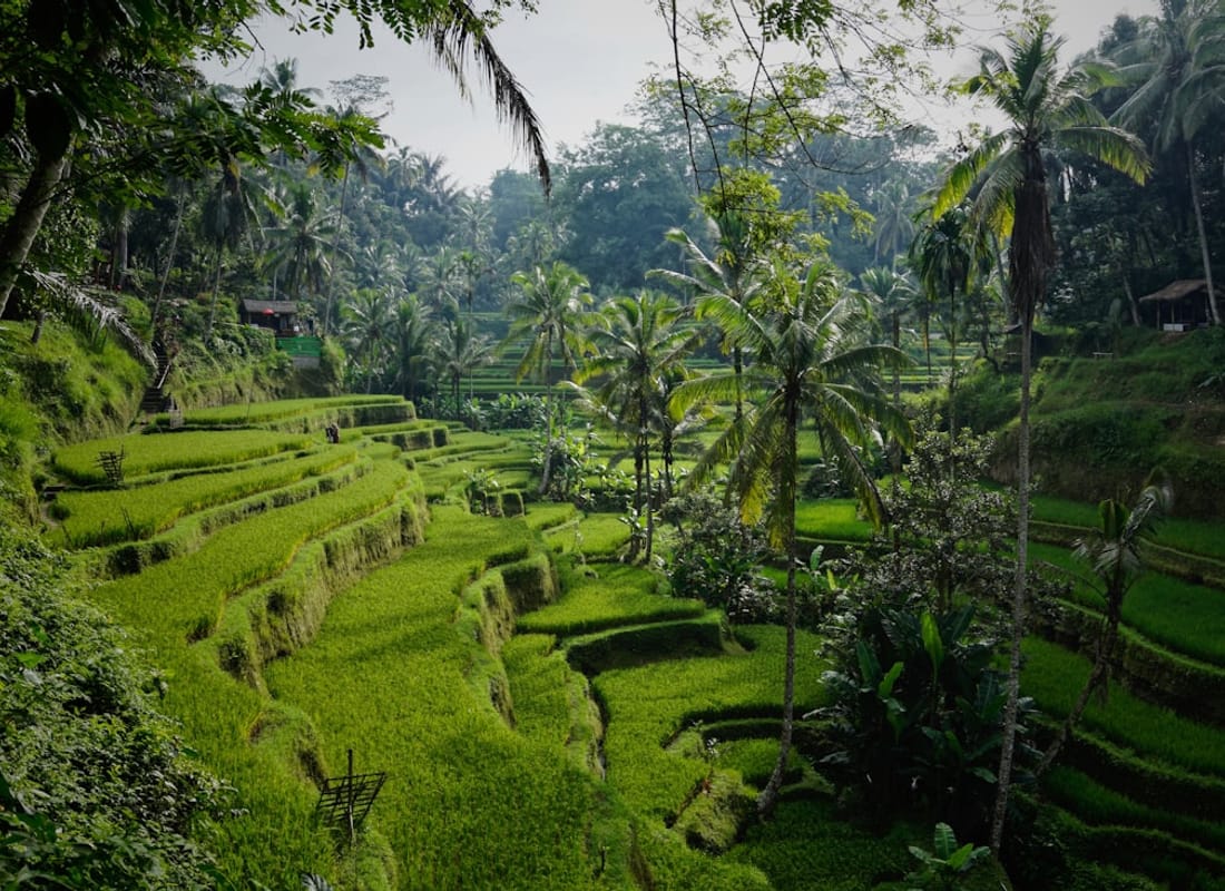 Bali